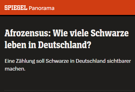 Afrozensus im Spiegel